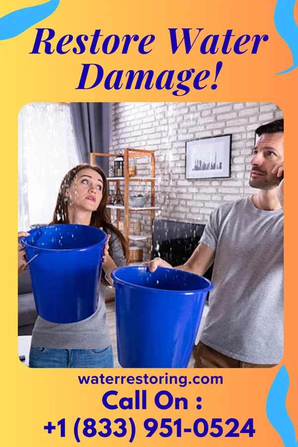 water restoration Local Damage Recovery Professionals Essex Fells