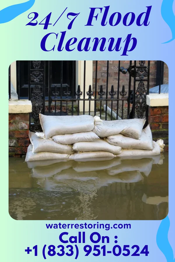 24/7 Flood Cleanup in Essex Fells, NJ