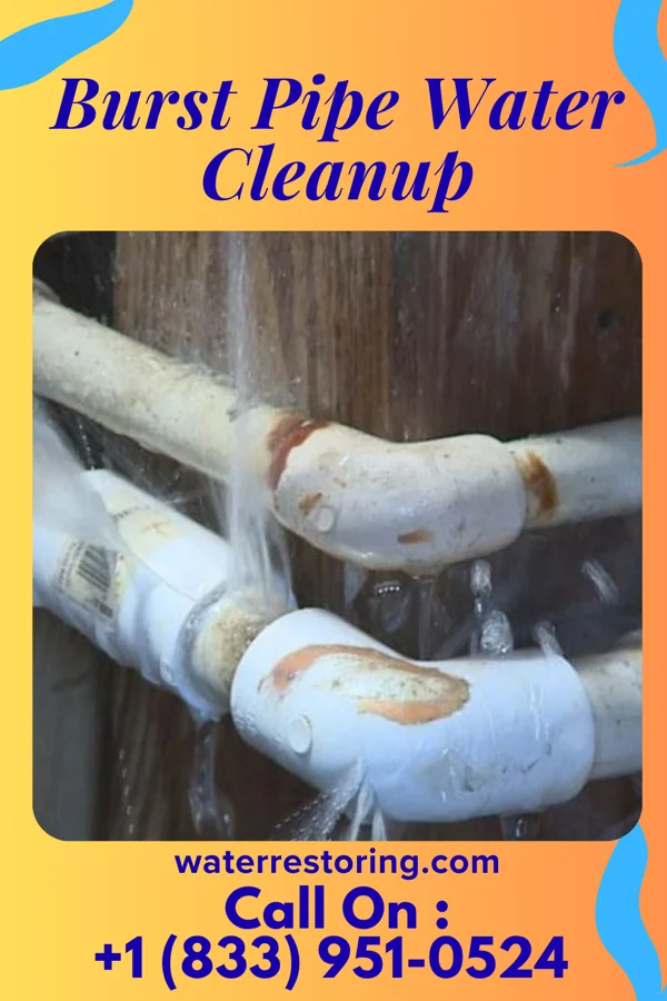 Burst Pipe Water Cleanup in Essex Fells, NJ