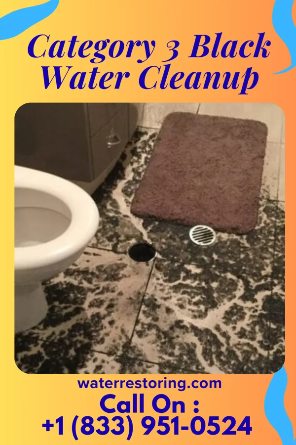 Category 3 Black Water Cleanup in Essex Fells, NJ