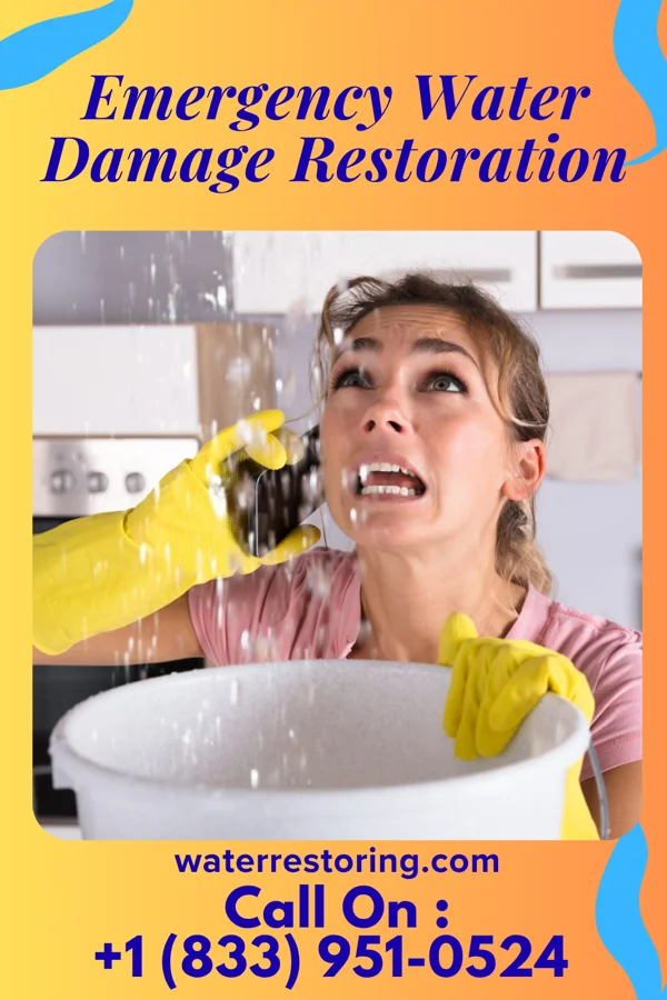 Emergency Water Damage Restoration in Essex Fells, NJ