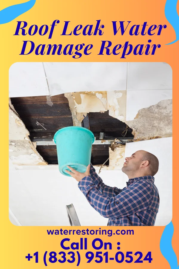 Roof Leak Water Damage Repair in Essex Fells, NJ