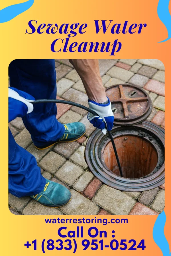 Sewage Water Cleanup in Essex Fells, NJ
